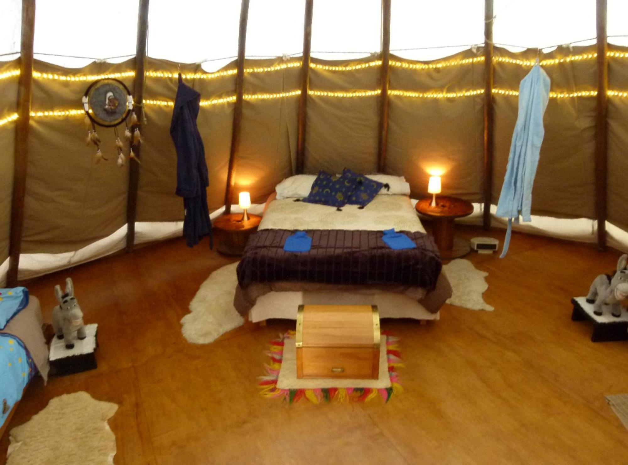 Wacky Stays - Unique Farm-Stay Glamping Rentals, Free Animal Feeding Tours Kaikoura Eksteriør billede