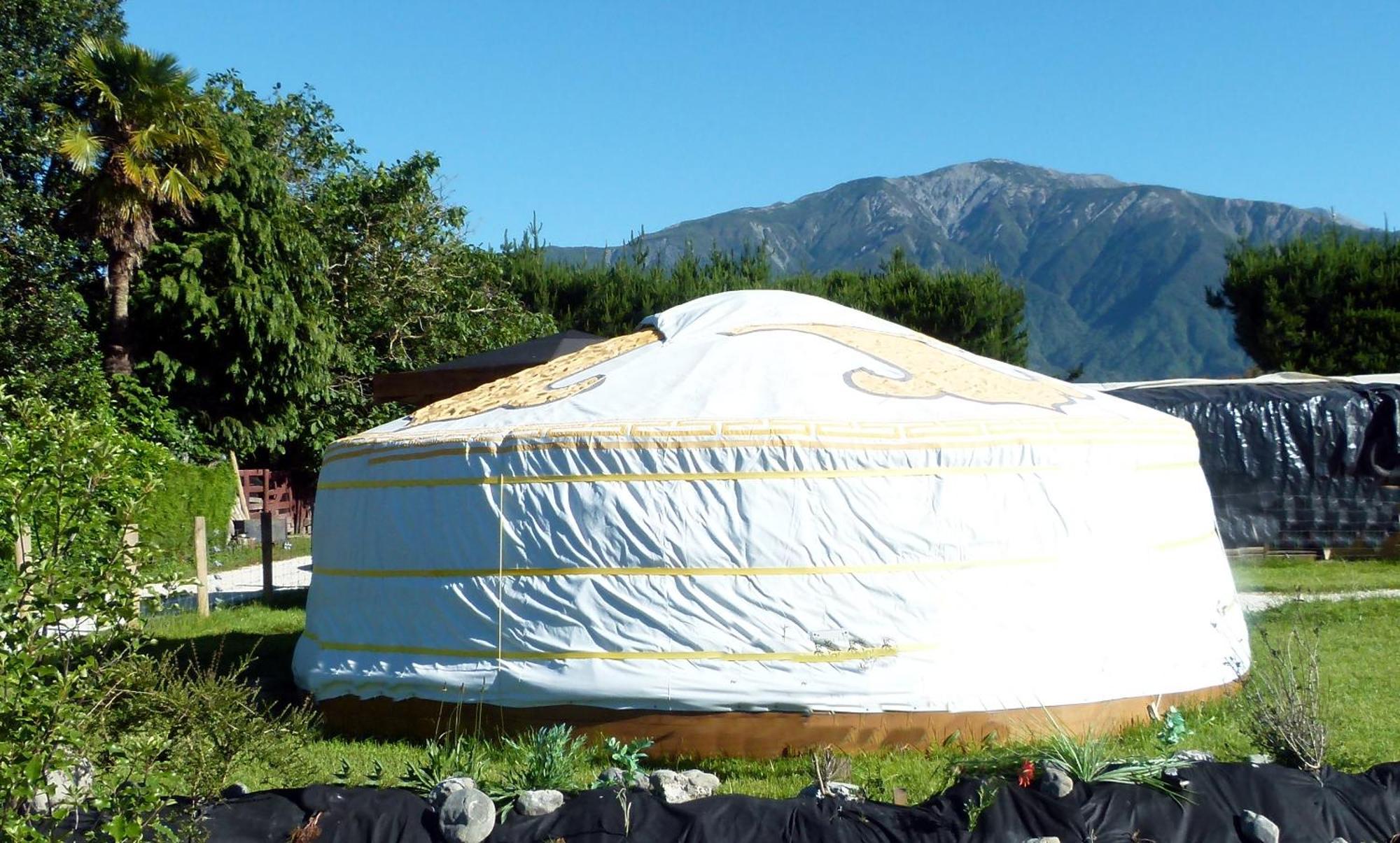 Wacky Stays - Unique Farm-Stay Glamping Rentals, Free Animal Feeding Tours Kaikoura Eksteriør billede