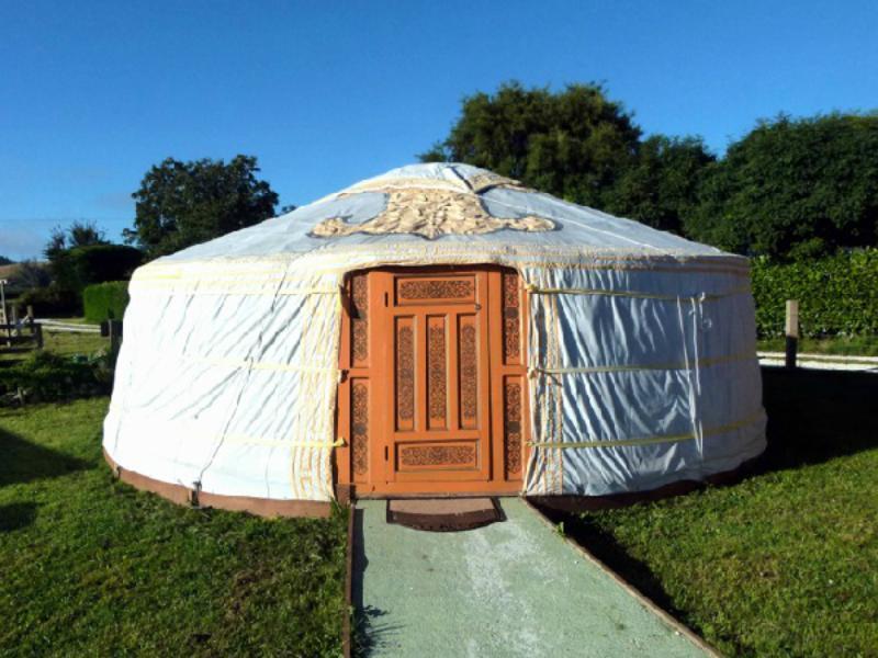 Wacky Stays - Unique Farm-Stay Glamping Rentals, Free Animal Feeding Tours Kaikoura Eksteriør billede