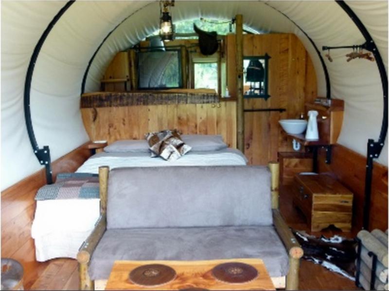 Wacky Stays - Unique Farm-Stay Glamping Rentals, Free Animal Feeding Tours Kaikoura Eksteriør billede