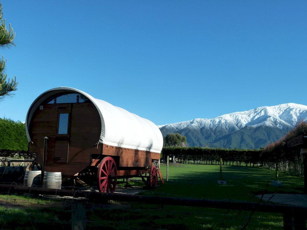 Wacky Stays - Unique Farm-Stay Glamping Rentals, Free Animal Feeding Tours Kaikoura Eksteriør billede