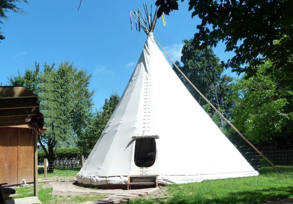 Wacky Stays - Unique Farm-Stay Glamping Rentals, Free Animal Feeding Tours Kaikoura Eksteriør billede
