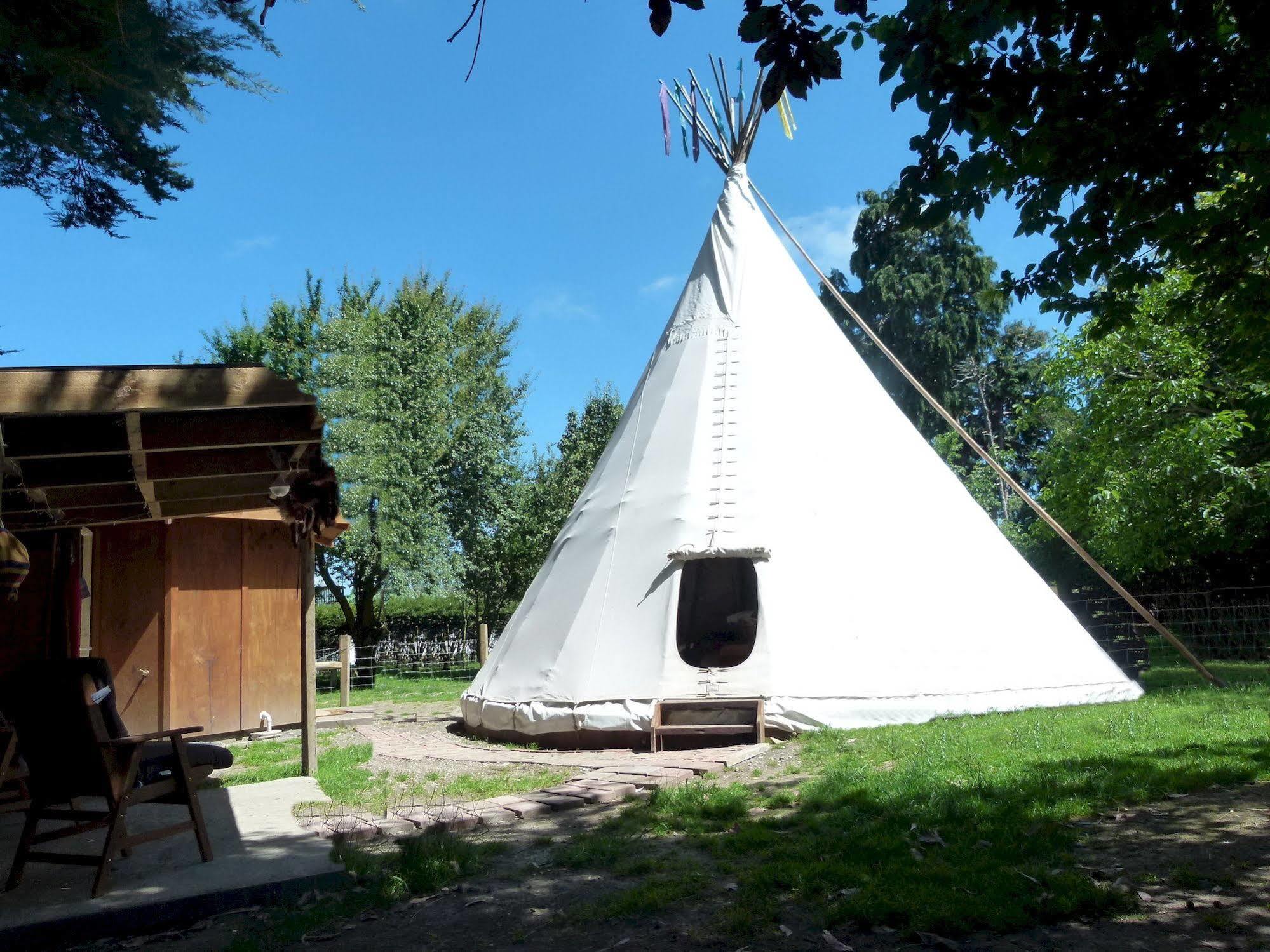 Wacky Stays - Unique Farm-Stay Glamping Rentals, Free Animal Feeding Tours Kaikoura Eksteriør billede