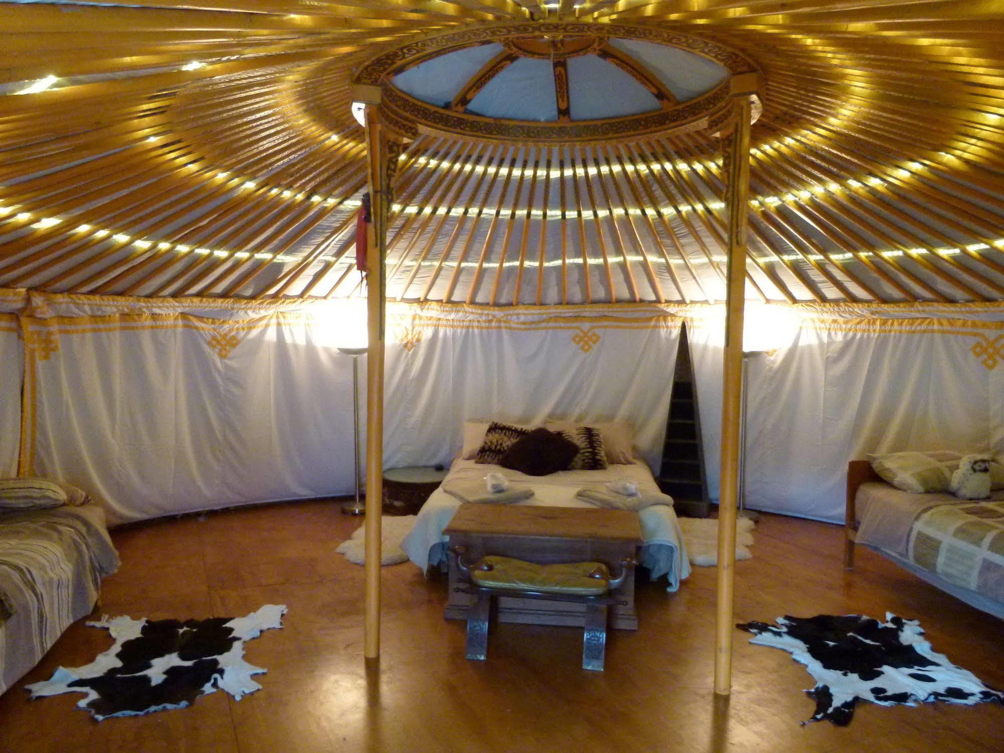 Wacky Stays - Unique Farm-Stay Glamping Rentals, Free Animal Feeding Tours Kaikoura Eksteriør billede