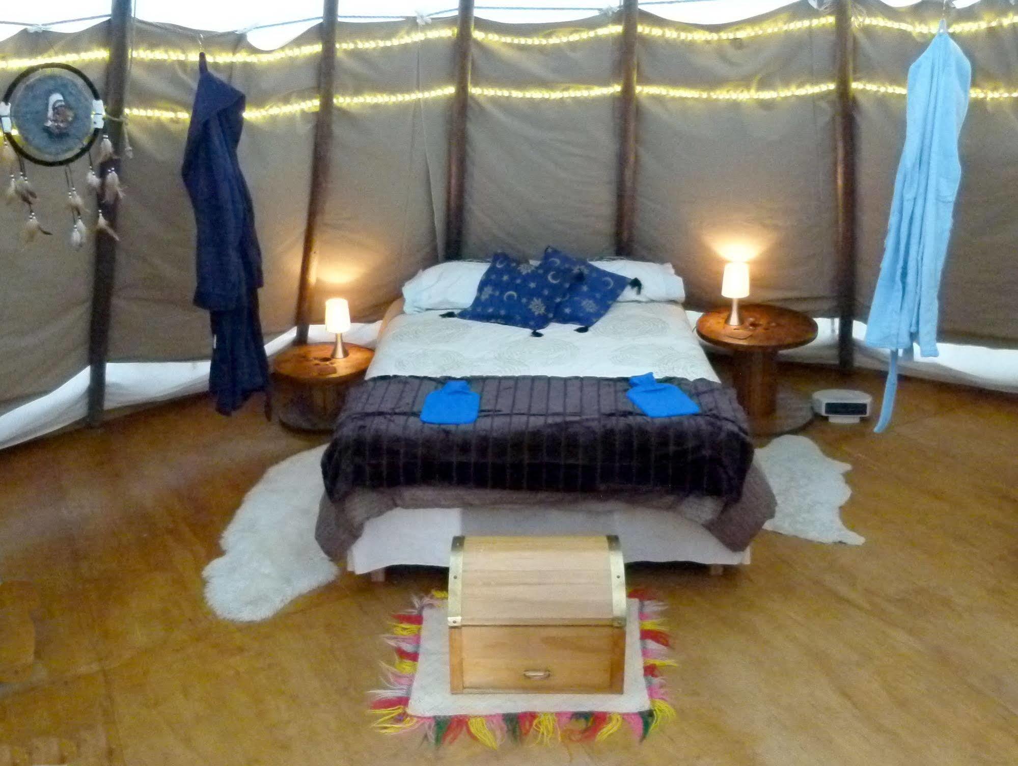 Wacky Stays - Unique Farm-Stay Glamping Rentals, Free Animal Feeding Tours Kaikoura Eksteriør billede