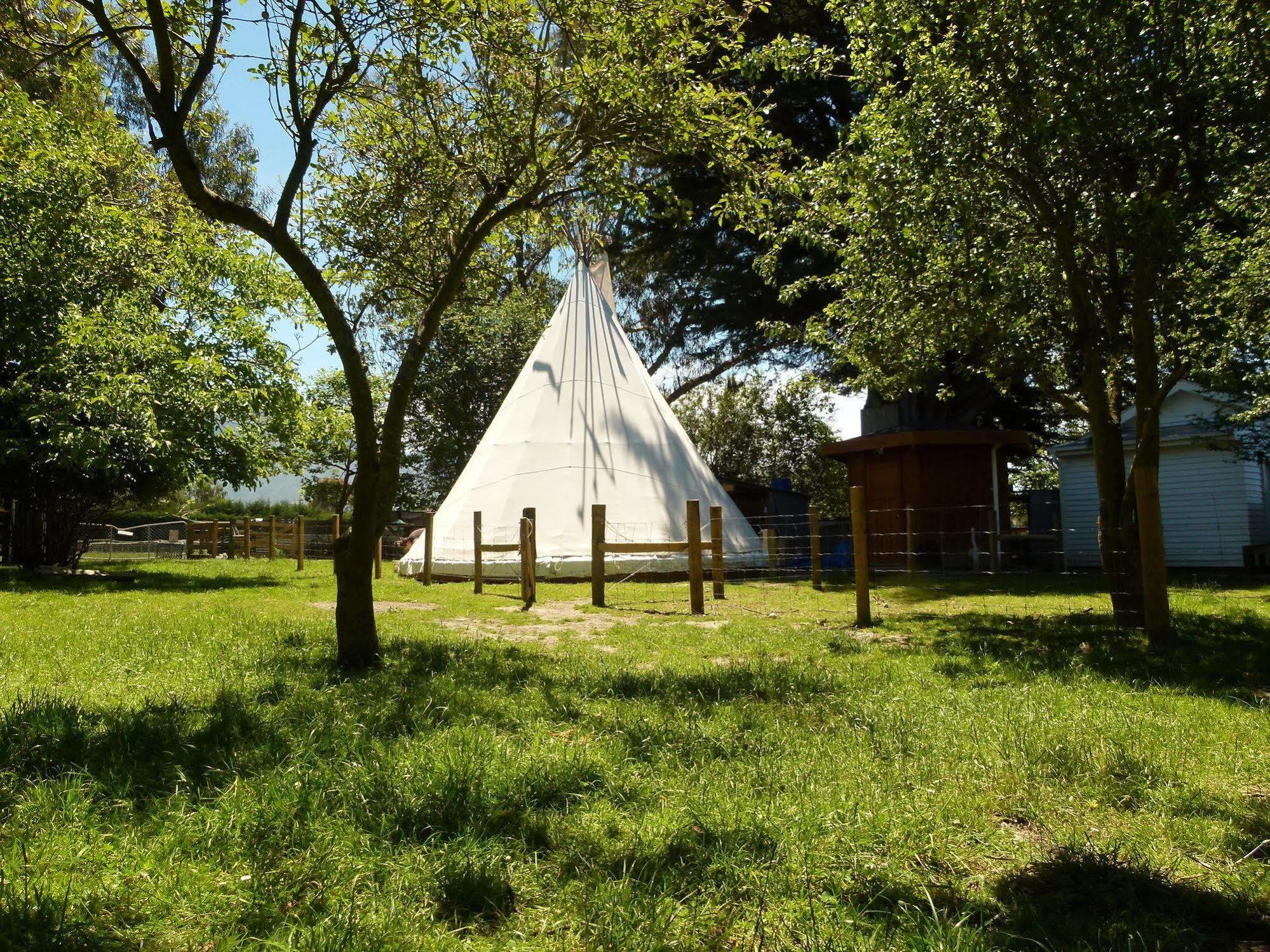 Wacky Stays - Unique Farm-Stay Glamping Rentals, Free Animal Feeding Tours Kaikoura Eksteriør billede