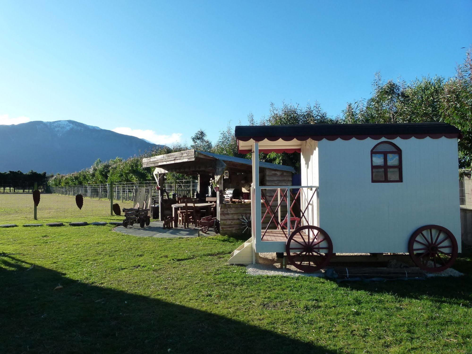 Wacky Stays - Unique Farm-Stay Glamping Rentals, Free Animal Feeding Tours Kaikoura Eksteriør billede